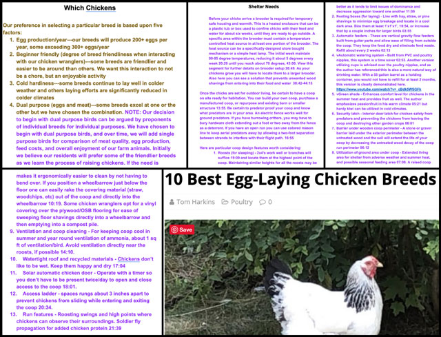Chickens, Improving Life on Our Planet, One Community Weekly Progress Update #358