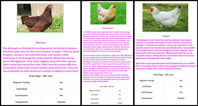 chicken breeds, Zero-Waste Community Designs, One Community Weekly Progress Update #348