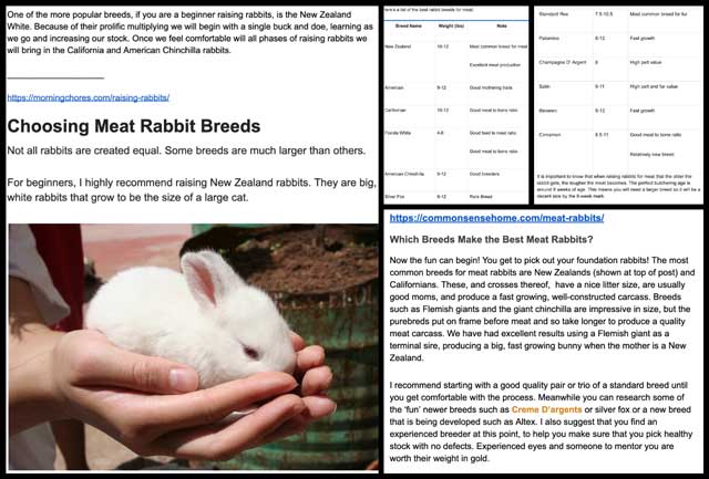rabbits, Blueprint for Global Cooperatives, One Community Weekly Update #366