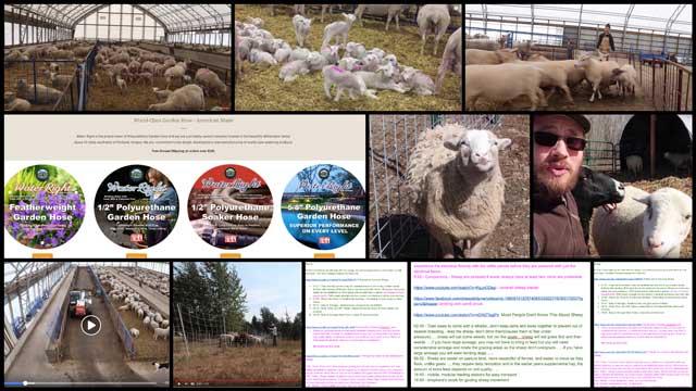 researching sheep, sheep shelters, Sustainably Addressing Global Poverty, One Community Weekly Progress Update #332