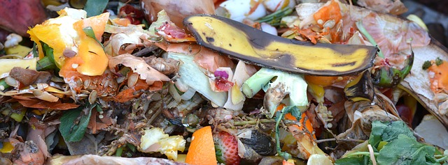 Compost, hot compost, sustainable living, Highest Good food