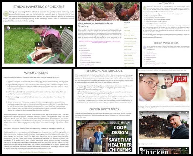 Chickens, Ecologically Addressing Society, One Community Weekly Progress Update #355
