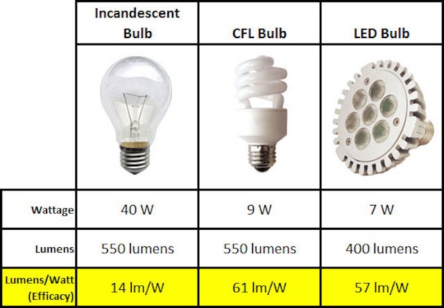 lightbulb label, LED, lights, sustainable lightbulbs, lightbulbs, sustainable, LED lights