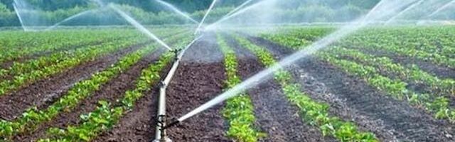 sparkler irrigation, sprinkler system designed to spread water over a certain area, irrigation systems, irrigation system uses