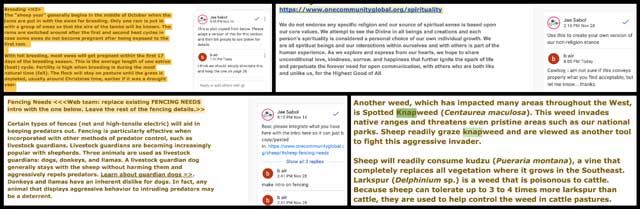 Sheep research, Open Source Eco-village Construction, One Community Weekly Progress Update #457