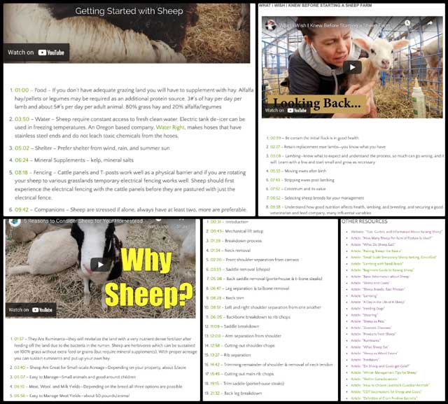 Ethical, Humane, & Conscientious Sheep Stewardship, Making Sustainability More Appealing, One Community Weekly Progress Update #459