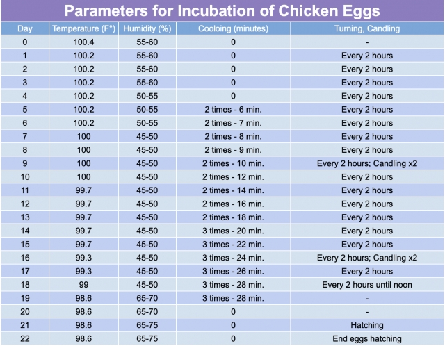 Parameters for incubation of chicken eggs, day, temperature, humidity, cooling, turning and candling, 