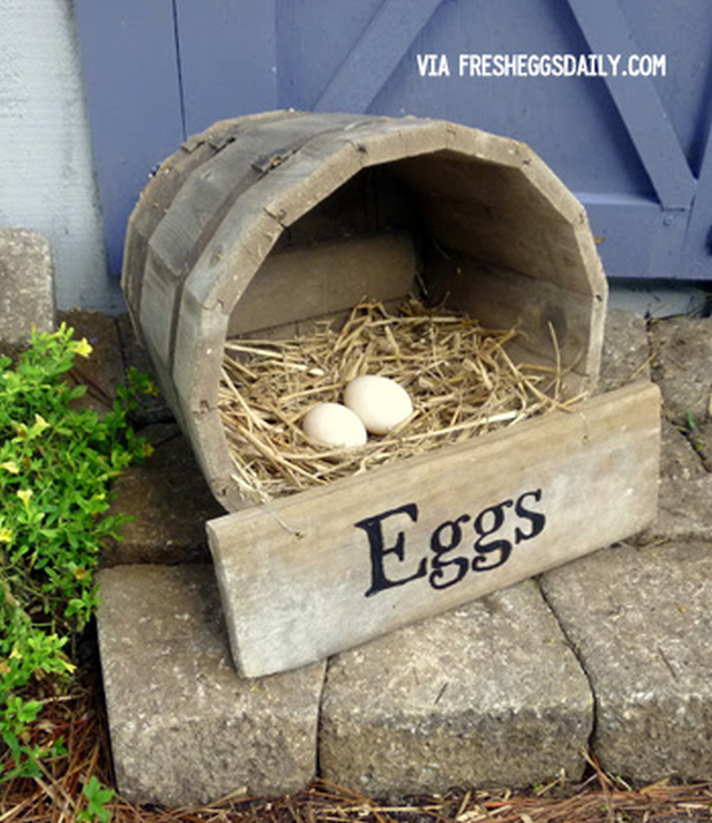 chicken housing, DIY nesting boxes, repurposed wood barrel for chickens, housing chickens, creating chicken housing, Nesting Box Made From a Wood Barrel, chicken shelter needs, nesting boxes
