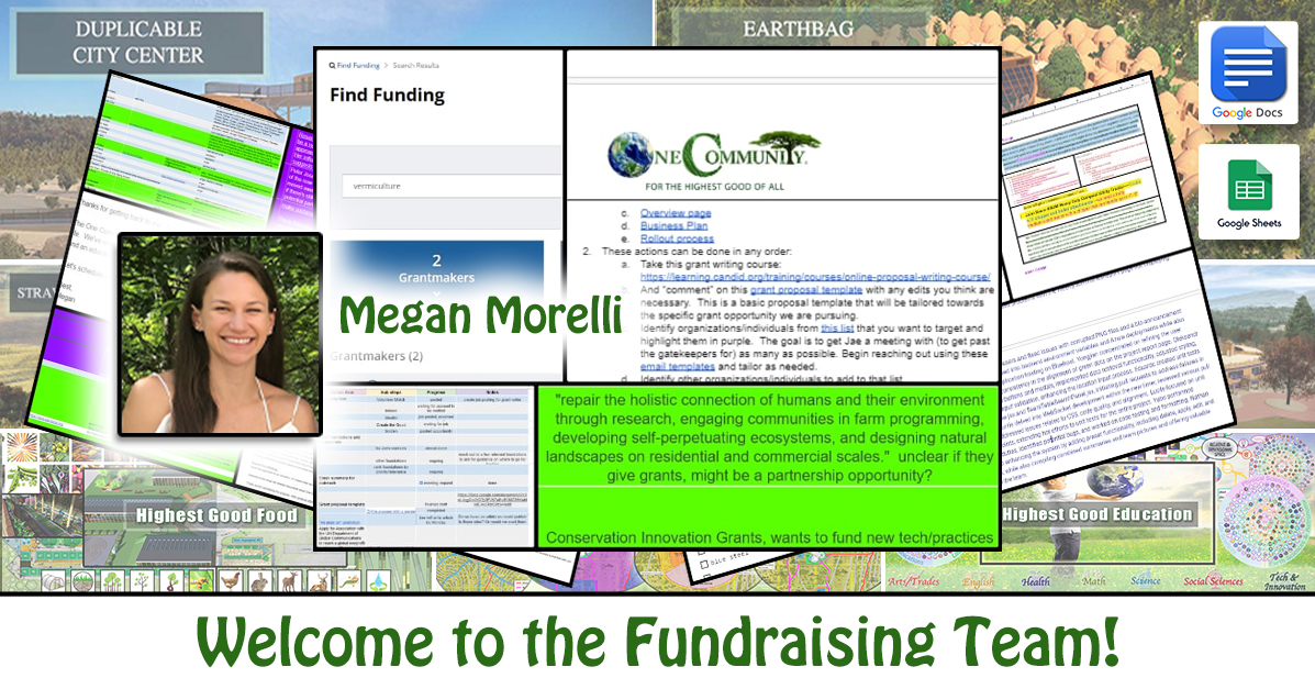 Megan Morelli, Fundraising and Acquisition Research, One Community Volunteer, Highest Good collaboration, people making a difference, One Community Global, helping create global change, difference makers
