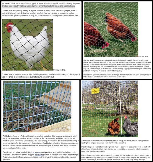 Chickens, Environmental Accounting, One Community Weekly Progress Update #511