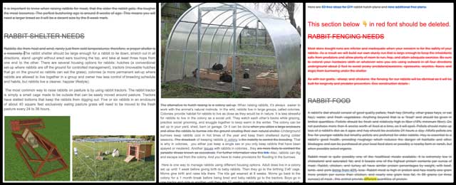 Rabbits and Chickens, Teacher Permaculture Hubs, One Community Weekly Progress Update #518