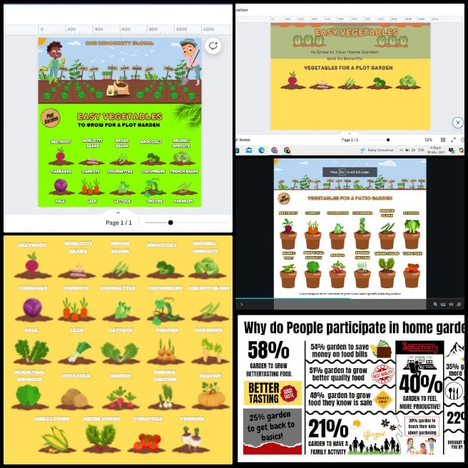 Faisal, One Community, site map, graphics, improvement, links, approval, work, "grown in-ground versus what you can grow in pots" infographic, "Why people do gardening?" infographic, completion, progress, images, Eco-paradigm construction