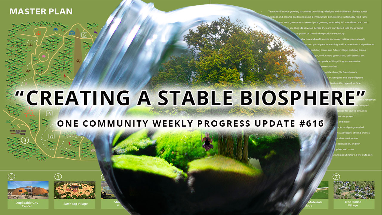 Creating a Stable Biosphere – One Community